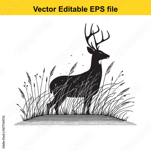 A whitetail silhouette of a majestic stag standing in tall grass, isolated on white background