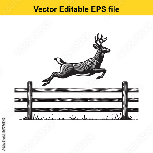 A whitetail deer jumping over a wooden fence, isolated on white background
