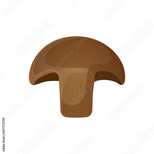 Vector illustration of mushrooms in flat detailed style. Isolated design of food ingredient for culinary cooking