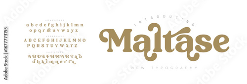 Maltase Elegant Font Uppercase Lowercase and Number. Classic Lettering Minimal Fashion Designs. Typography modern serif fonts regular decorative vintage concept. vector illustration

