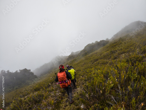 Group of young hikers walking along a trail through the paramo on a cold morning in Chirripo National Park, Costa Rica.