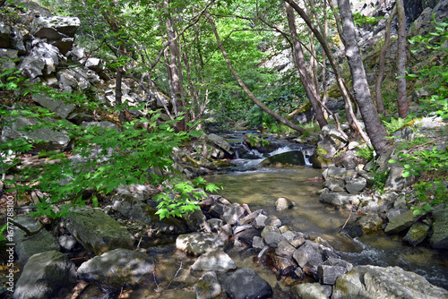 Creek inside the woods near Velventos village.