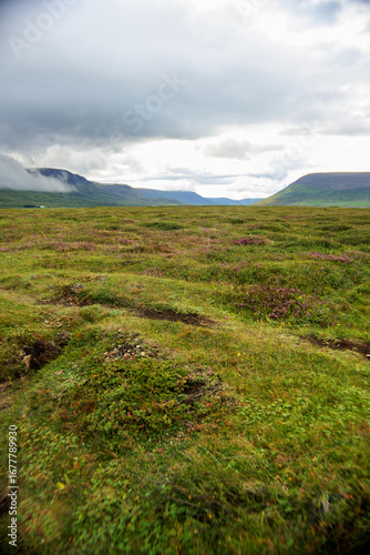 An Open Meadow Looking Into A Valley