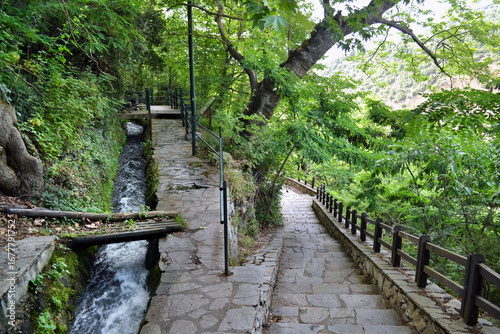 Path inside the trees near Velventos village.
