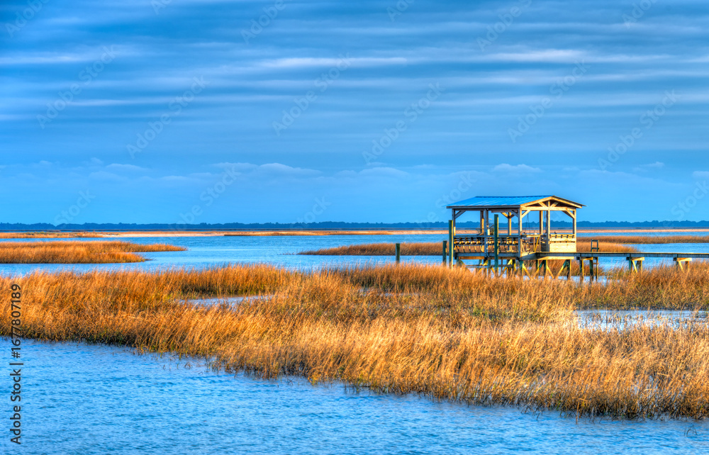 Fototapeta premium scenic view of Cape Romaine marsh