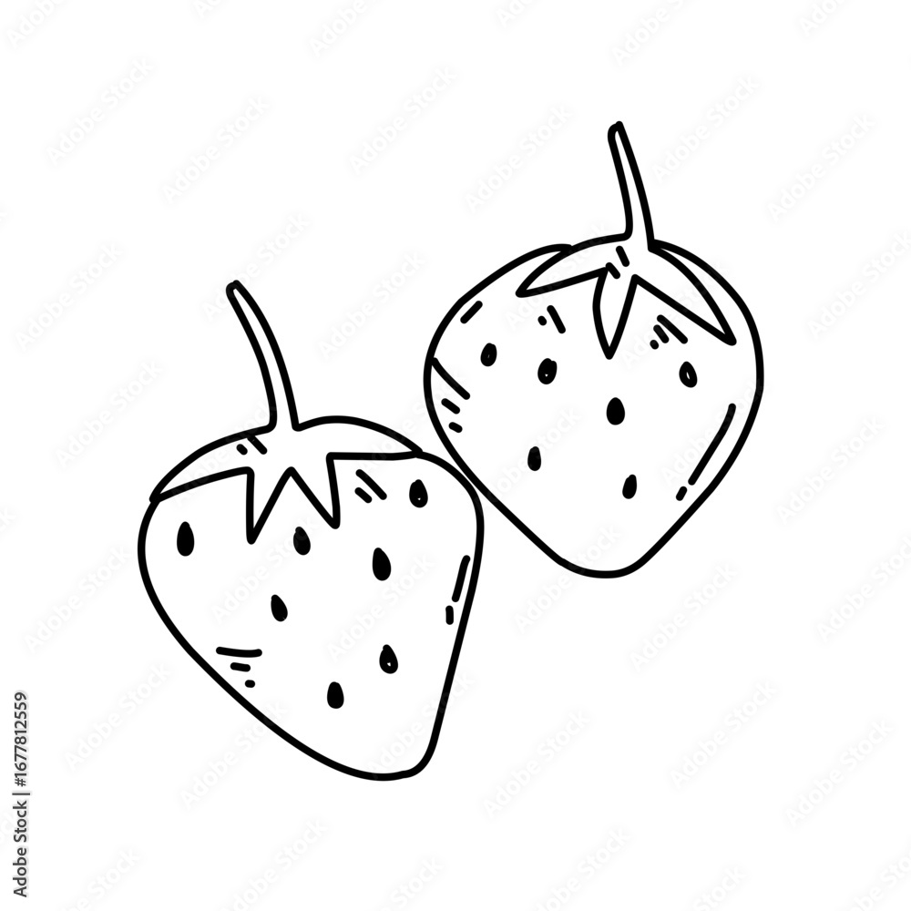 Fototapeta premium hand drawn strawberries