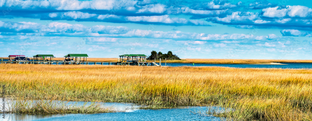 Obraz premium scenic view of Cape Romaine South Carolina