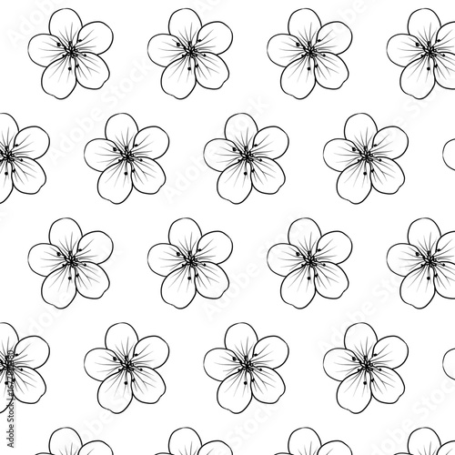 Rockfoil or Saxifraga paniculata flower Seamless Pattern Hand drawn vector line art, Black and White Flower isolated in white. Beautiful design for textile, wallpaper, wrapping paper
