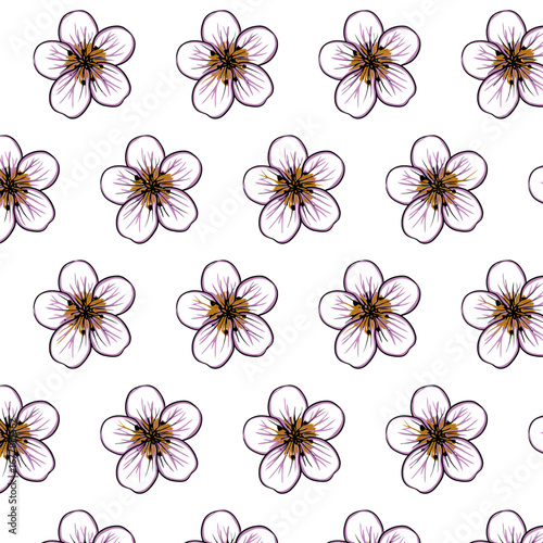 Rockfoil or Saxifraga paniculata flower Seamless Pattern Hand drawn vector line art, Black and Brown Flower isolated in white. Beautiful design for textile, wallpaper, wrapping paper