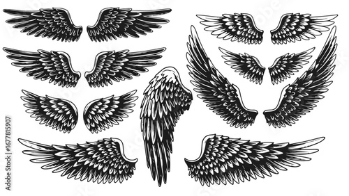 Angel wing collection for your design, perfect for tattoos, logos, or fantasy art projects needing a touch of magic