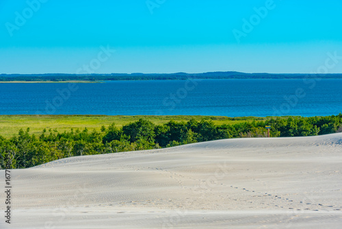 Принти на полотні Sand dune in Slowinski national park in Poland