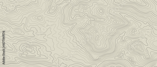 Abstract Topographic Contour Map Lines Vector Background.