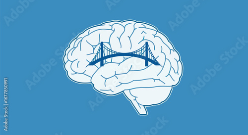 Brain Hemispheric Connection.