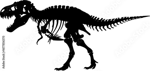 T rex dinosaur skeleton negative space silhouette .Prehistoric creature bones isolated black and white clip art. Tyrannosaurus paleontology design
