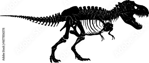 T rex dinosaur skeleton negative space silhouette .Prehistoric creature bones isolated black and white clip art. Tyrannosaurus paleontology design