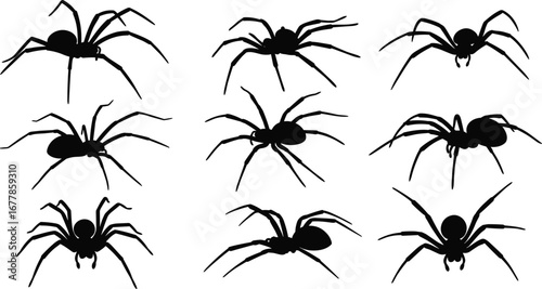 Collection of black spider silhouettes in different poses, perfect for Halloween, horror, insect, creepy, and arachnid themes.