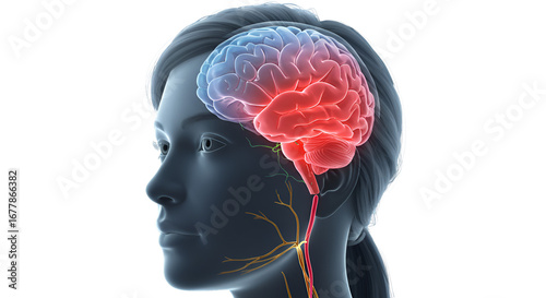 Visualizing head pain brain activity highlighting neural pathways and potential inflammation black