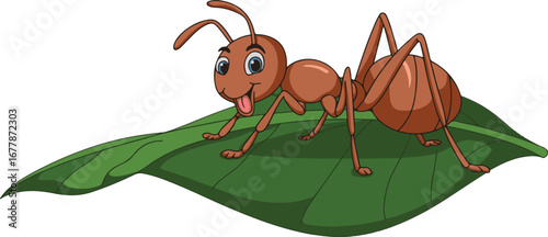 ant on a leaf