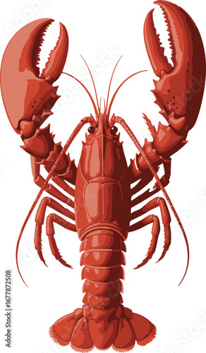lobster isolated on white