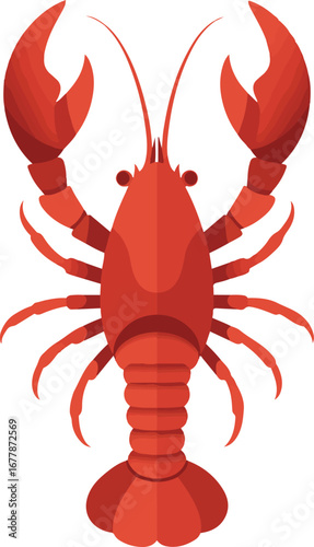 red crab isolated on white