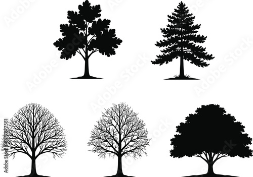 Tree silhouette vector illustration, black foliage shapes, leafless branches, conifer pine tree, seasonal nature icons, forest graphic elements, botanical design assets