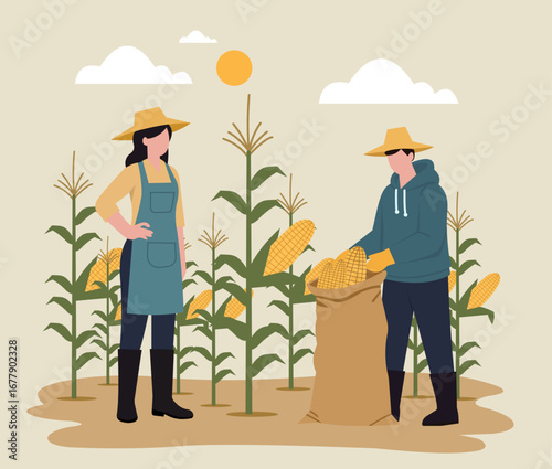 A flat vector illustration of two farmers, a man and a woman, working together to harvest ripe corn in a sunny field, representing agriculture and teamwork