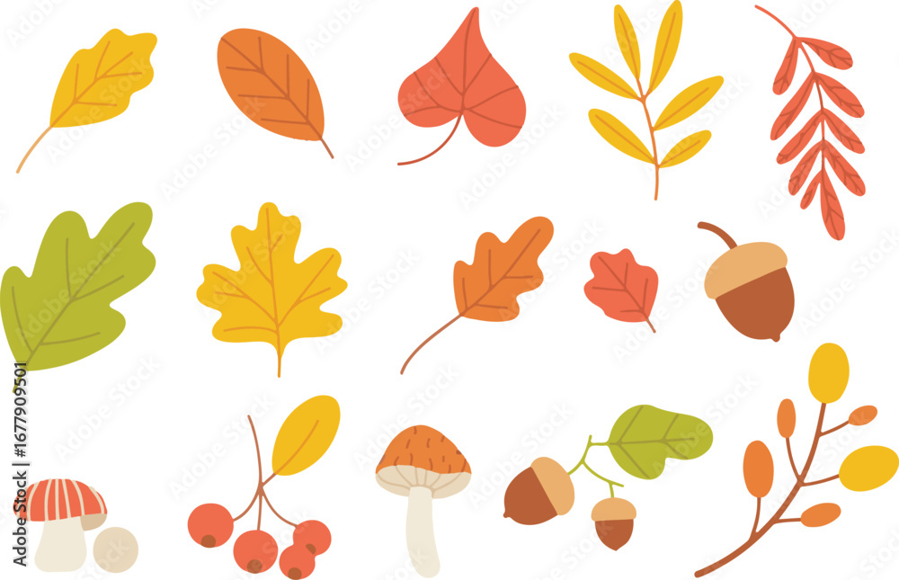 Fototapeta premium set of autumn leaves
