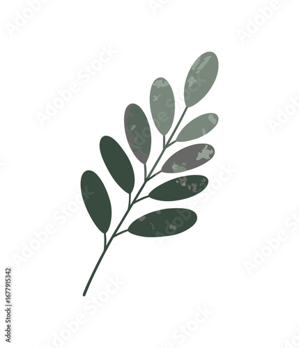 Olive Branch Vector Illustration, Green Leaves