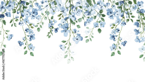 Hand-painted watercolor illustration of delicate hanging blue flowers. Romantic floral border for spring decoration or wedding banner