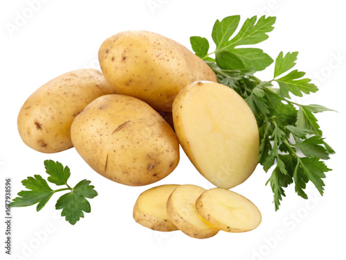 potatoes with leaves isolated, cut-out 
