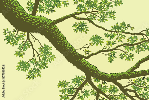 Detailed branches of a leafy tree curve across light background in a unique vector