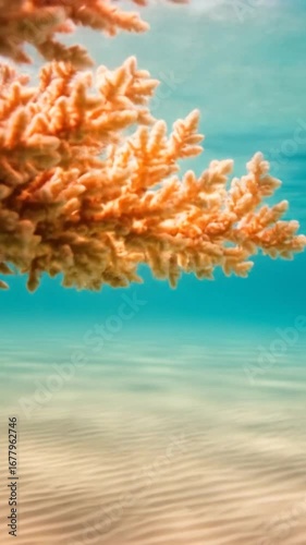 Vibrant coral reef scene with sandy ocean floor and sunlight