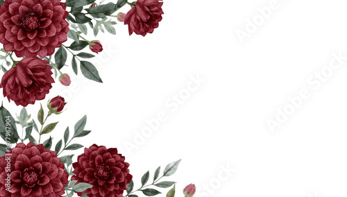 Elegant botanical border with hand-painted watercolor dark red dahlia flowers and green leaves isolated on a white background