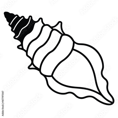 Black and White Outline Illustration of a Spiky Seashell on a White Background drawing marine
