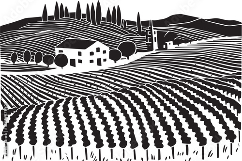 Vineyard Landscape: A stylized depiction of a vineyard, showcasing orderly rows of vines set against a rolling hill, framed by a combination of various trees.