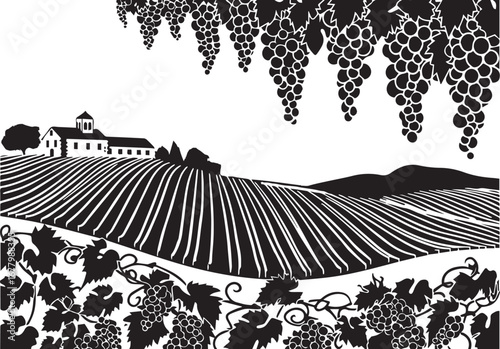 Vineyard Vista: A monochromatic portrayal of a serene vineyard, where rows of meticulously cultivated grapevines stretch across rolling hills, leading the eye towards a quaint farmhouse.
