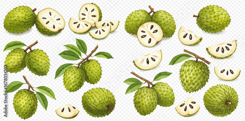 A detailed illustration set of whole and sliced soursop fruits, some attached to branches with green leaves.