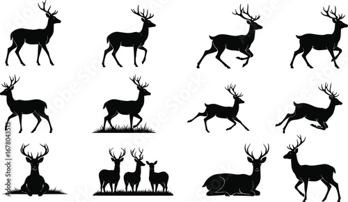 Full Black Silhouette Deer Running, Walking, Laying, and Grazing, Nature Scene, Antlers, Wildlife, Forest, and Outdoor Illustration Vector