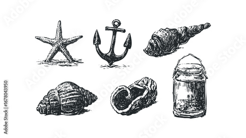 Nautical elements including starfish, anchor, seashells, and jar hand-drawn sketch. Vector hand drawn illustration