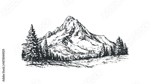 Sketch of a Jagged Mountain Peak with Pine Trees and Textured Ground. Vector hand drawn illustration