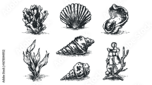 Collection of hand-drawn nautical and marine life elements on a transparent background. Vector hand drawn illustration