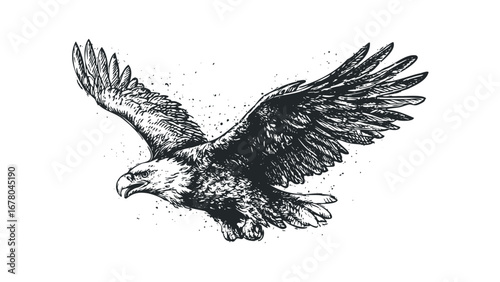 Detailed sketch of an eagle in flight with spread wings on a transparent background. Vector hand drawn illustration