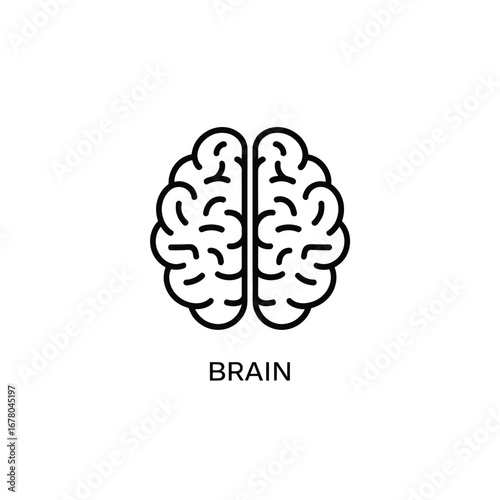 Brain outline icon, human intelligence and neurology concept, medical design, mental health idea vector  vector silhouette