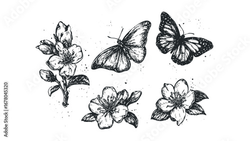 Sketch of Butterflies and Blooming Flowers on Transparent. Vector hand drawn illustration