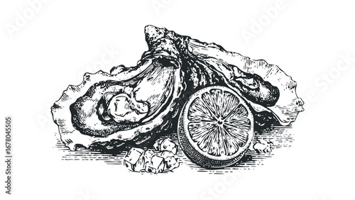 Intricate Engraving of an Open Oyster with Lemon Slice and Ice Chunks. Vector hand drawn illustration