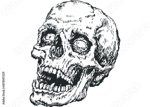 Grayscale Sketch of a Human Skull with Empty Eye Sockets. Vector hand drawn illustration