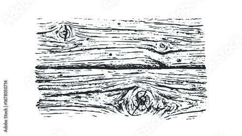 Detailed graphic texture of weathered wood grain with knots. Vector hand drawn illustration