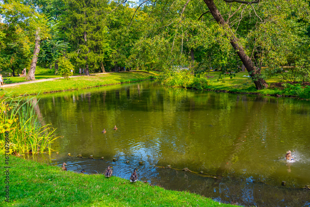 Fototapeta premium Lake at Lazienki park in Warsaw, Poland