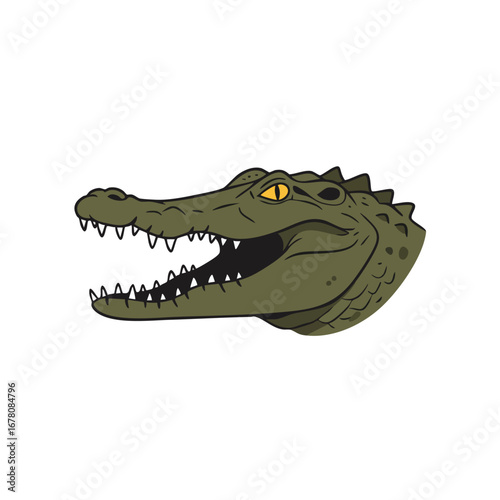 Illustration of a green crocodile head with open mouth and sharp teeth.