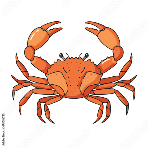 Illustration of an orange crab with claws raised, isolated on white background.